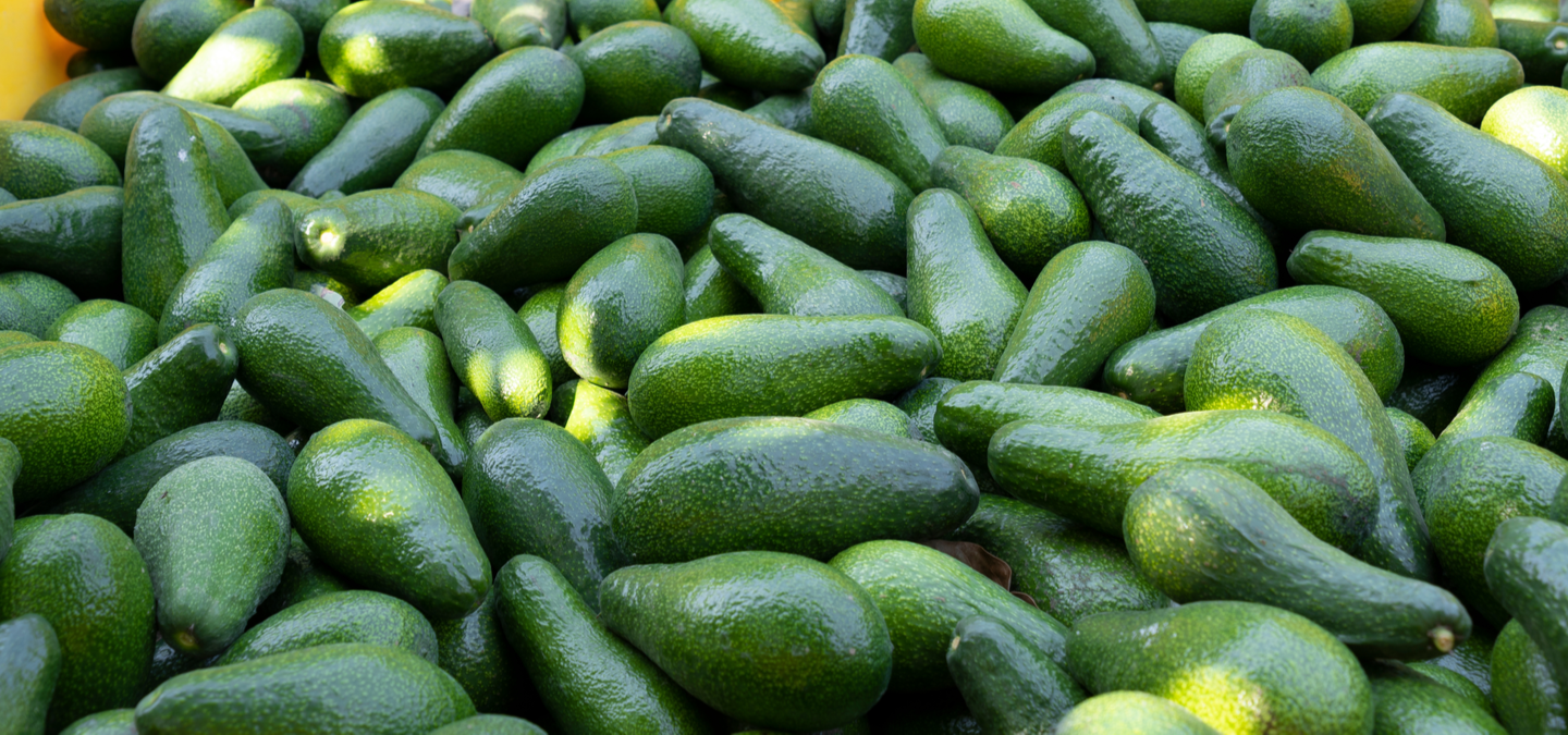 shutterstock_2066281739